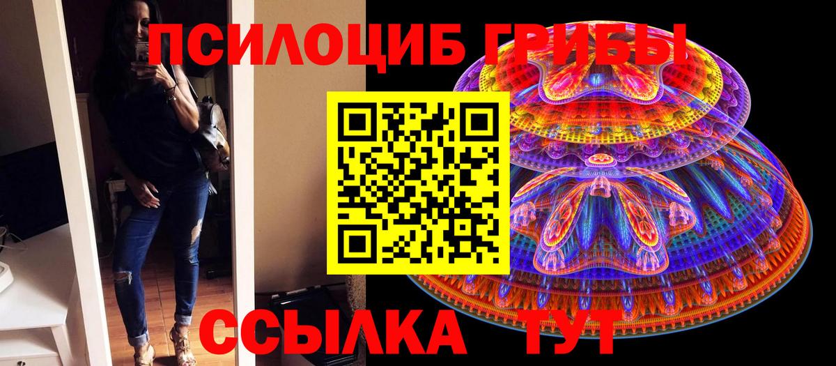 Псилоцибиновые грибы GOLDEN TEACHER Костомукша