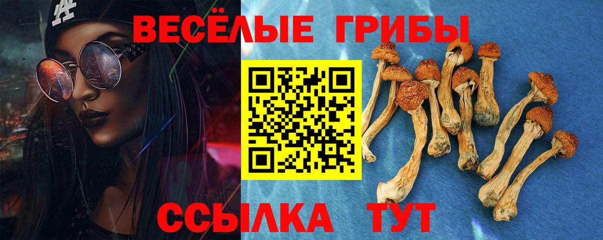 Галлюциногенные грибы мицелий  Вход с VPN  Галлюциногенные грибы ЛСД  Костомукша 